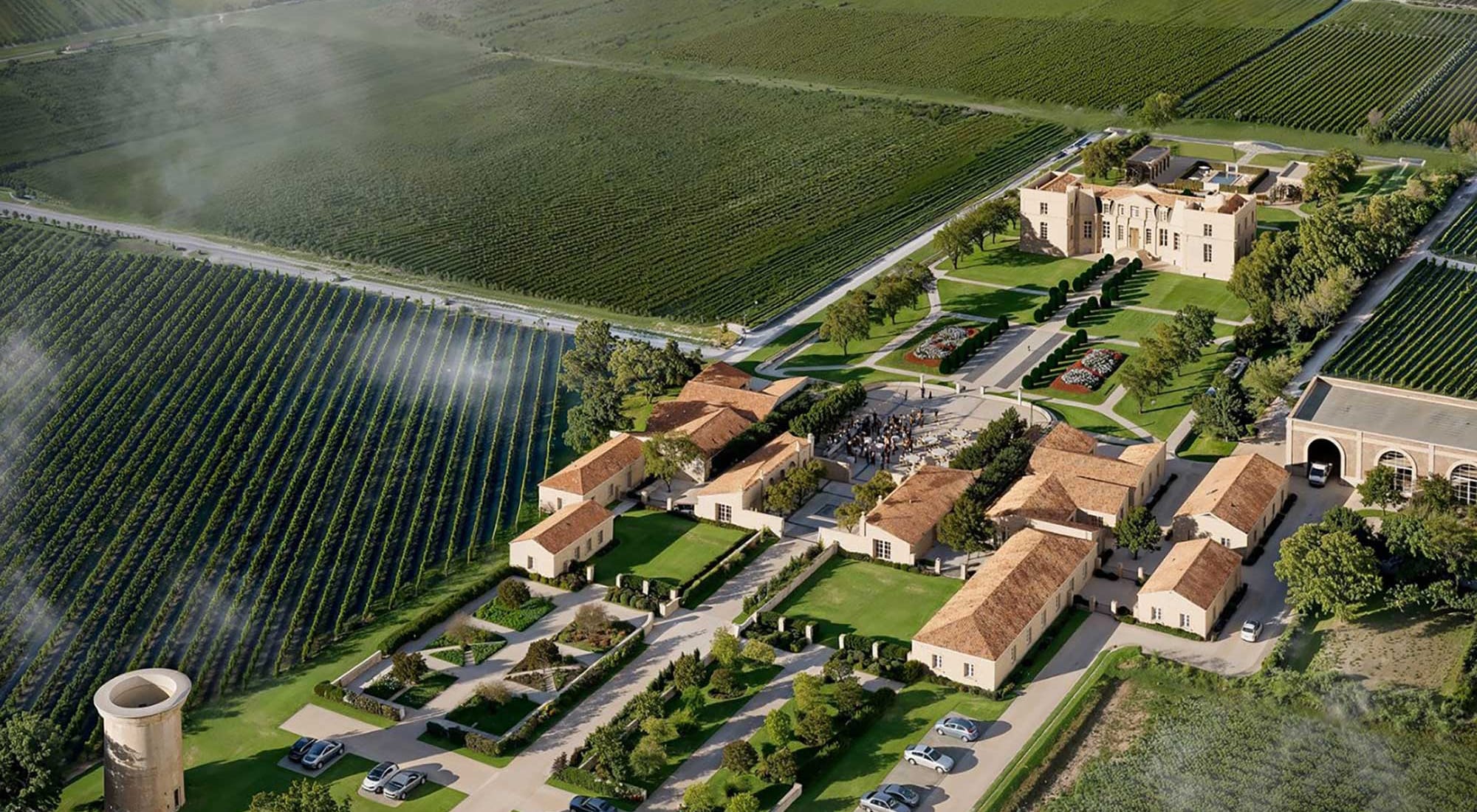 Domaine viticole vu du ciel, dans la brume du matin