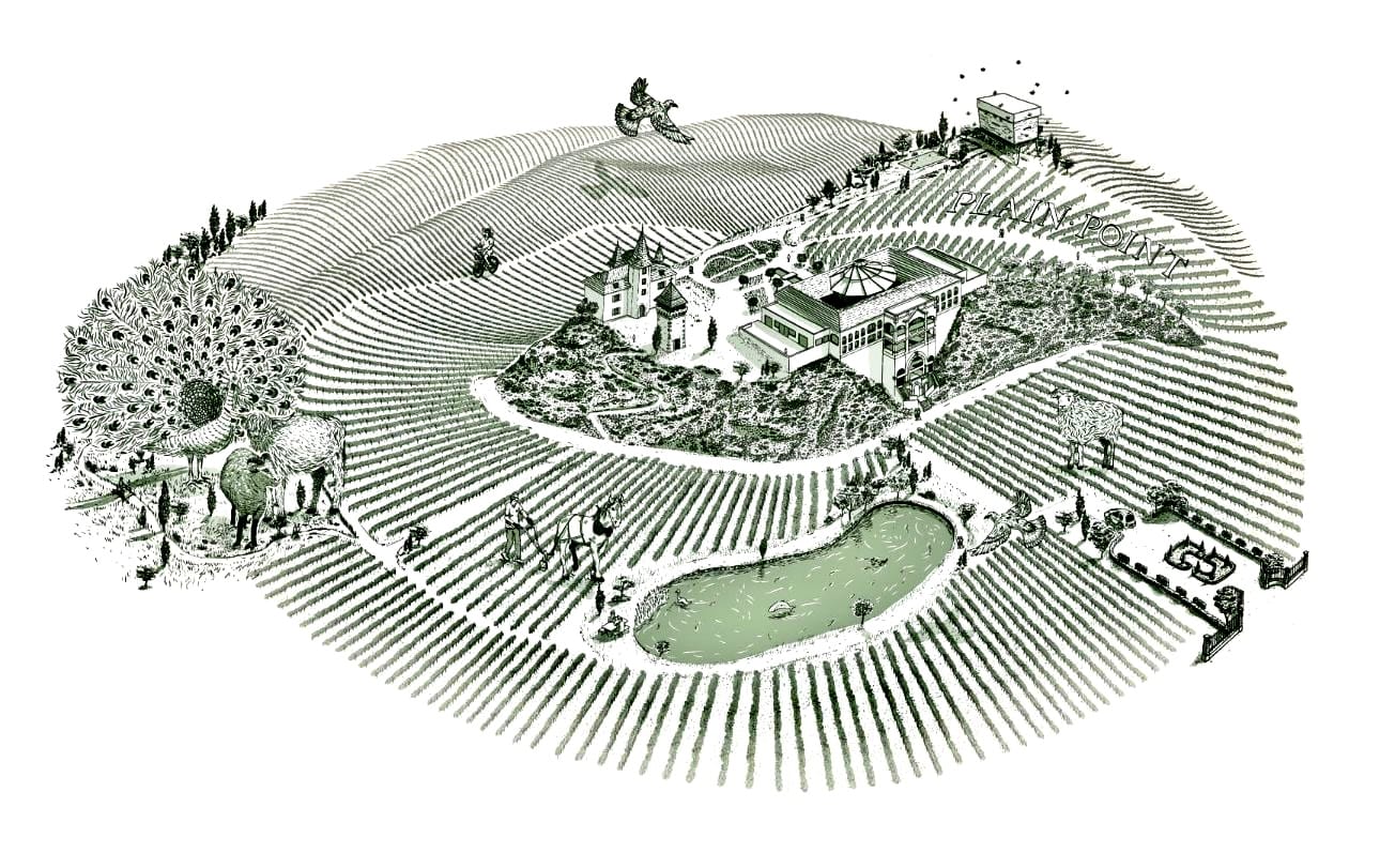 Illustration du domaine de Plain Point au milieu des vignes
