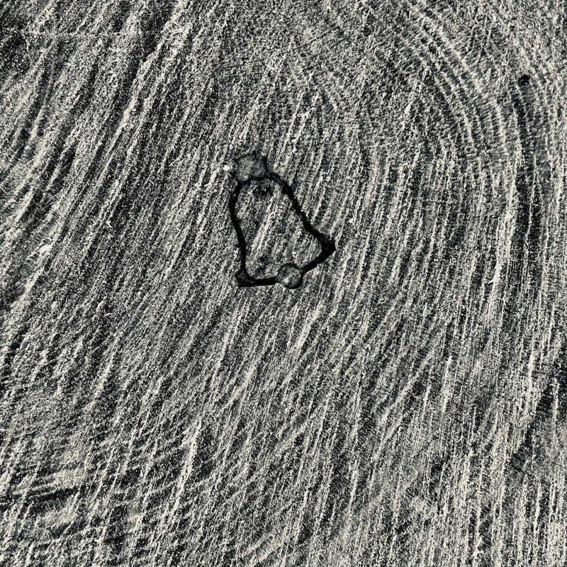 Forestry hammer mark stamped on a log