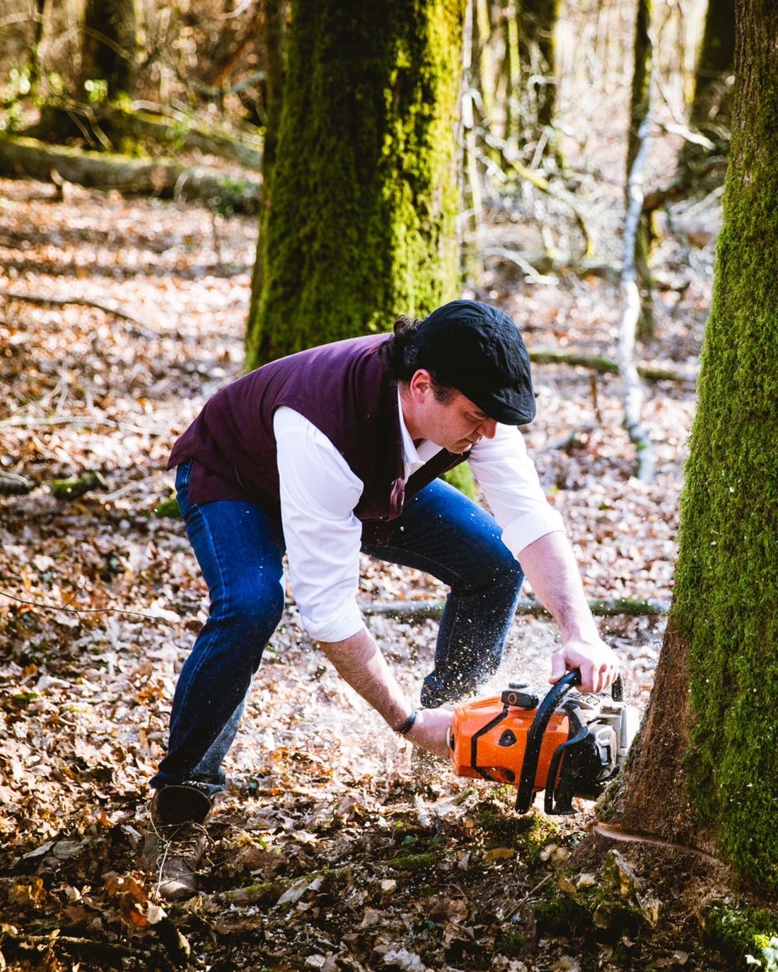 Olivier Chadebost abattant un arbre en forêt