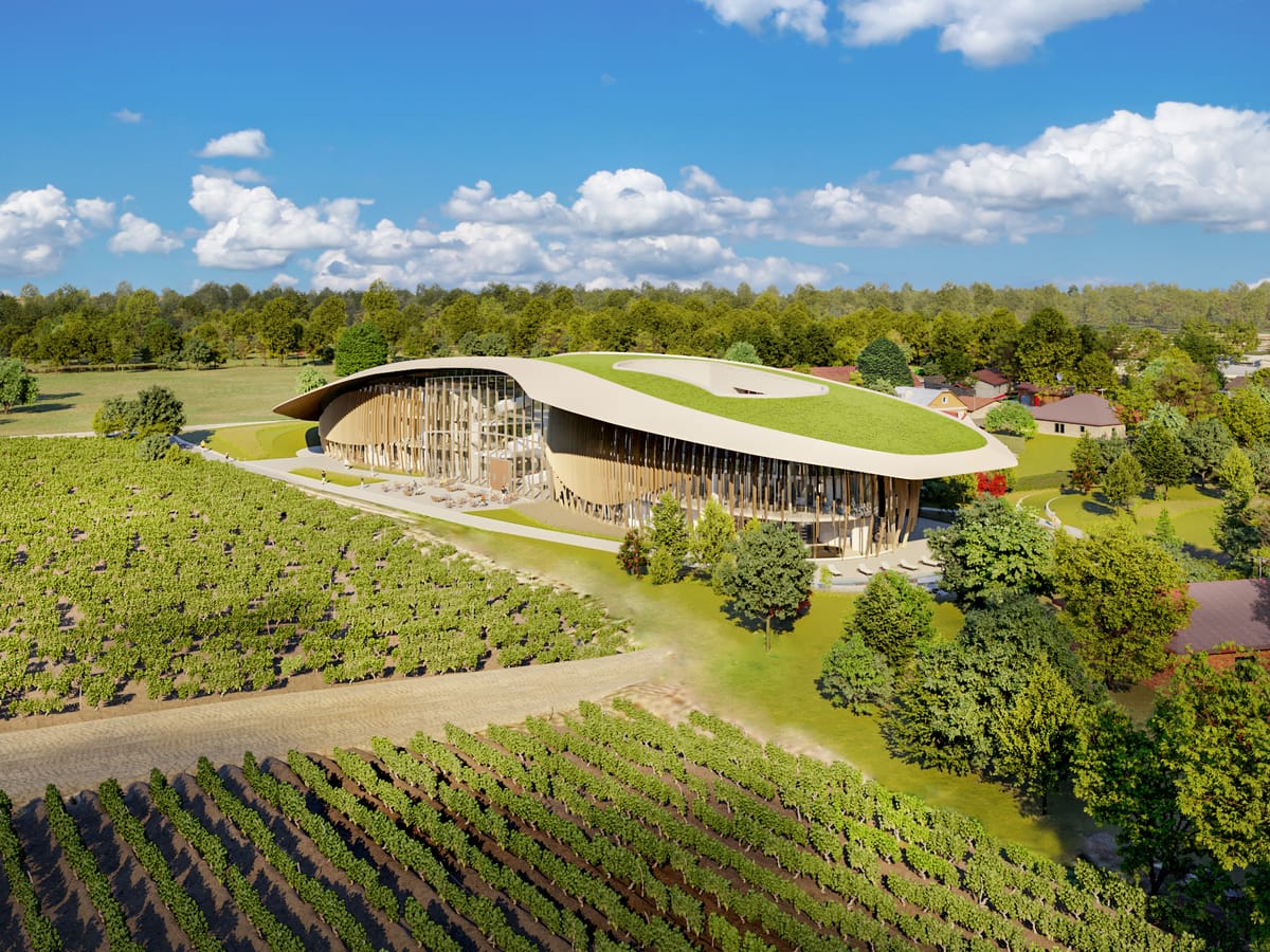 Chai à toiture végétalisée posé dans les vignes