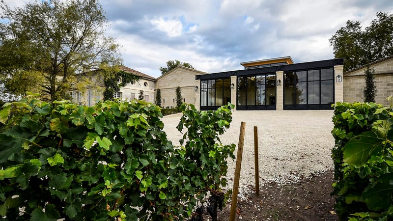 Vignes au premier plan devant la façade en pierre et les grandes baies vitrées d'un domaine viticole, Château Beauregard à Pomerol