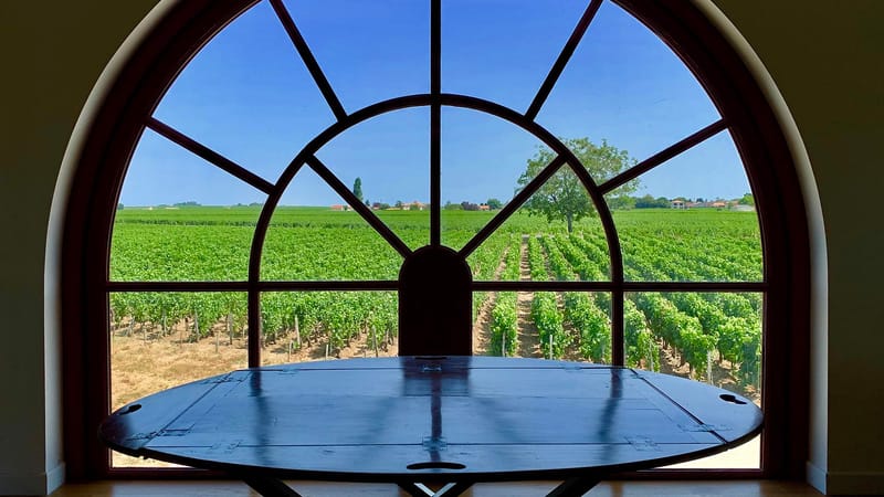 Table en bois devant une baie vitrée cintrée donnant sur des rangs de vignes sous un ciel bleu, Château de Côme à Saint-Estèphe