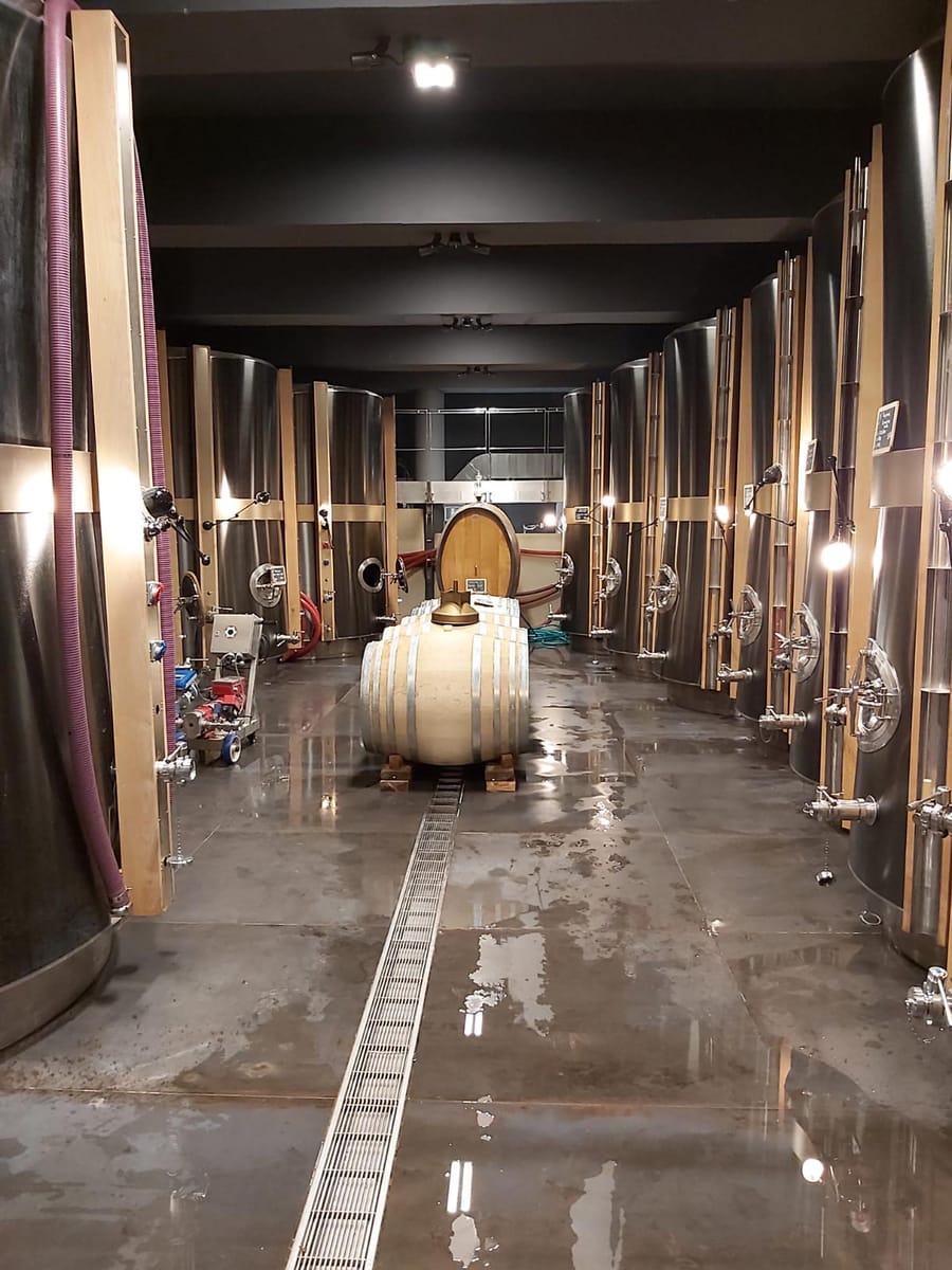 Cuves en acier inoxydable et tonneau en bois alignés dans la cuvrerie d'un chai à La Gaude