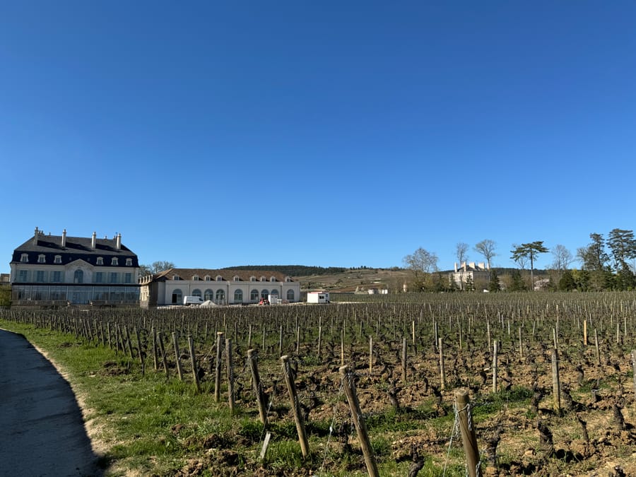Le château au bout des vignes