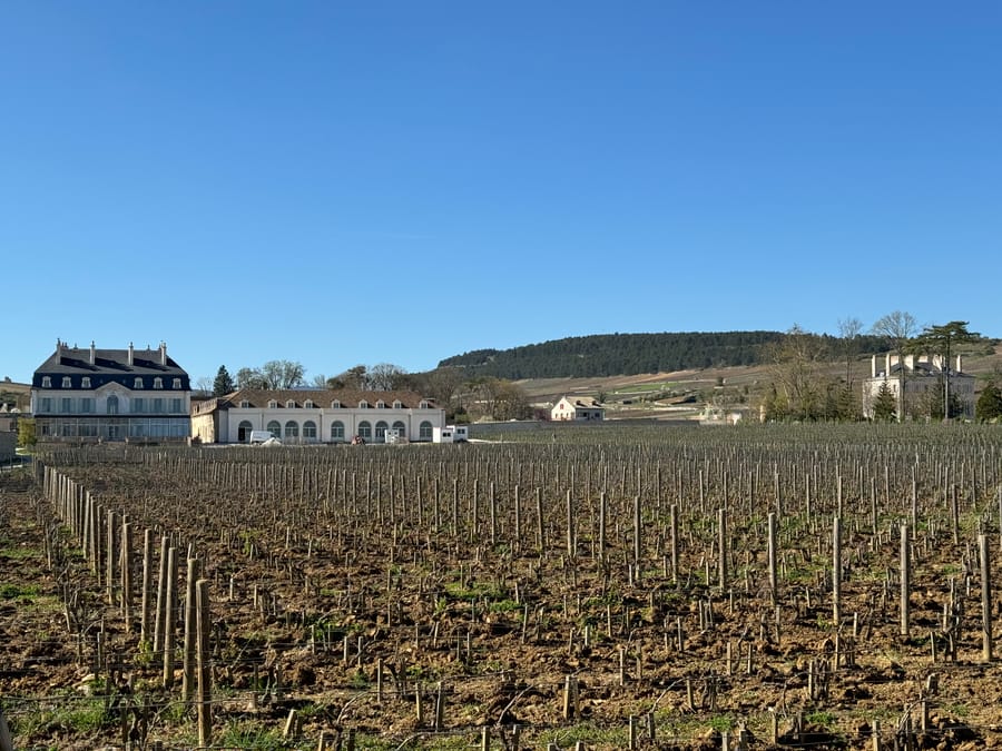 Le château et la côte, depuis les vignes
