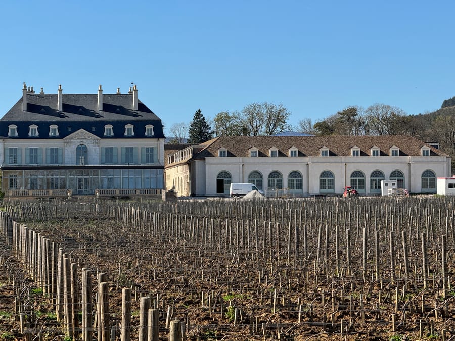 Le château et ses dépendances derrière les vignes