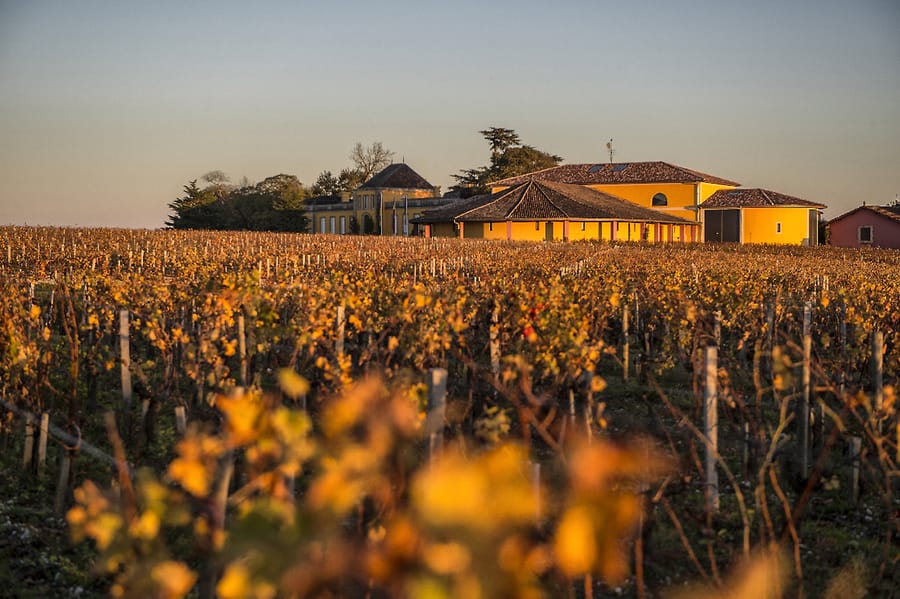 Vignes aux teintes automnales s'étendant devant les bâtiments jaunes d'un domaine viticole, Château Lafon-Rochet à Saint-Estèphe