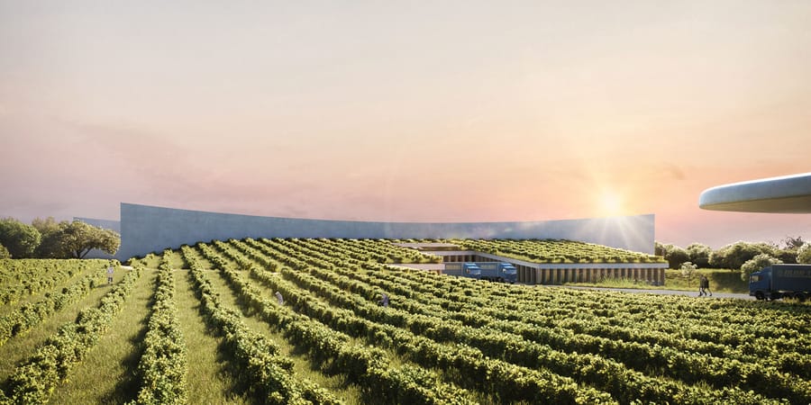 Bâtiment viticole à l'architecture contemporaine avec toiture végétalisée, intégré au milieu de rangs de vignes au coucher du soleil