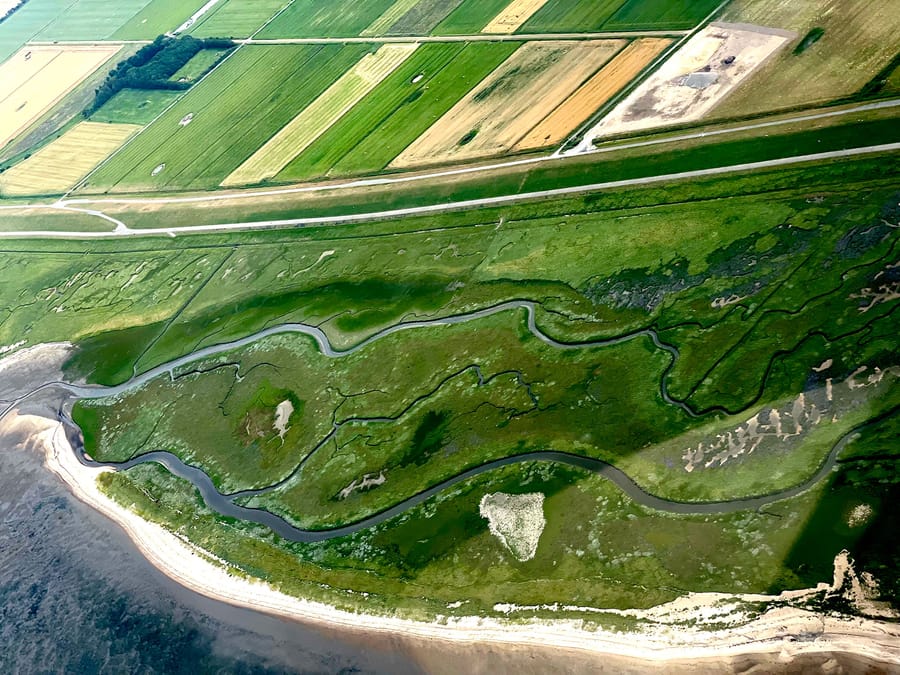 Vue aérienne d'un marais littoral traversé par des meandres sinueux en bordure de champs agricoles